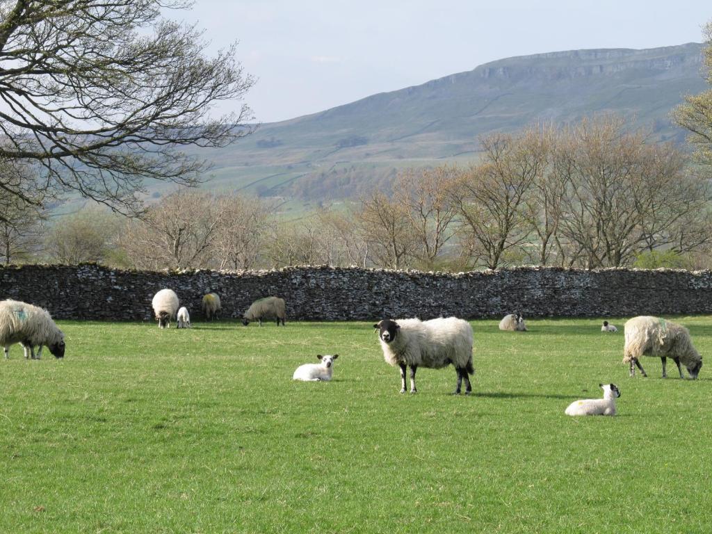 Thornton Lodge Aysgarth Cameră foto
